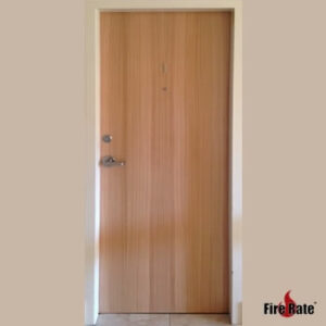 Apartment Entry Door